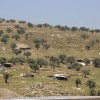 Abu Dahouk - Beit Hanina 2