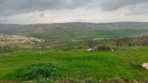 Khirbet at-Tawil -Tell al Khashaba 1